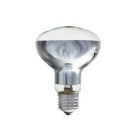 Energy Efficient Halogen Bulb | BULB 721