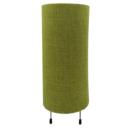 Cylinder Green Lampshade | SB9